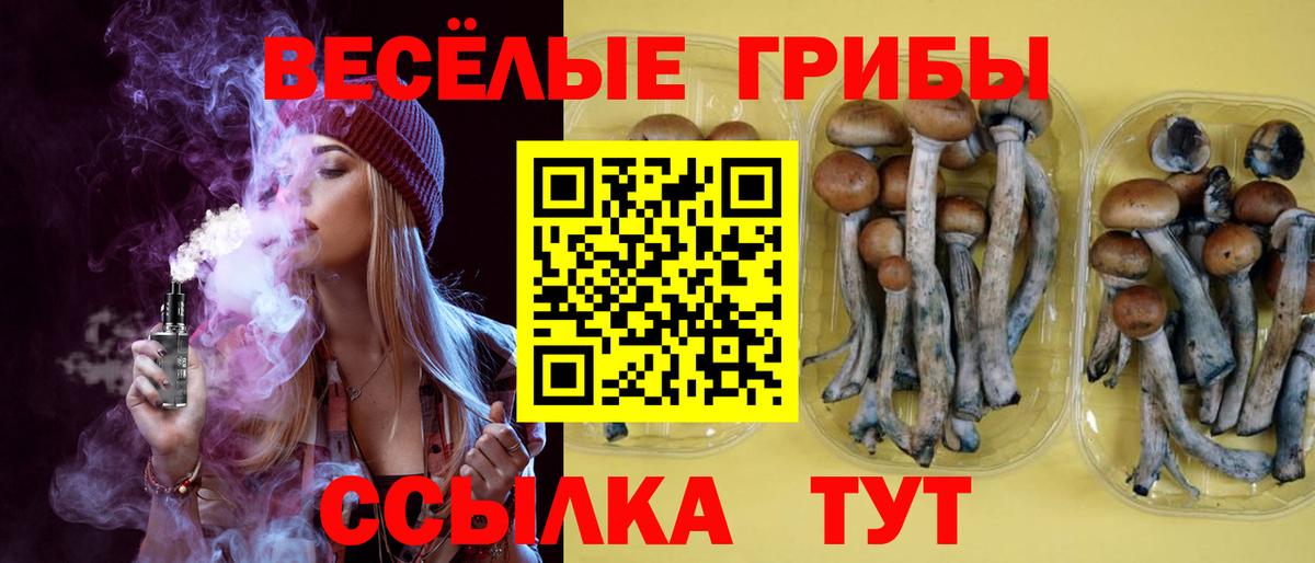 Клин  Псилоцибиновые грибы Psilocybine cubensis  купить наркотики сайты  Вход с VPN  Галлюциногенные грибы Psilocybe 